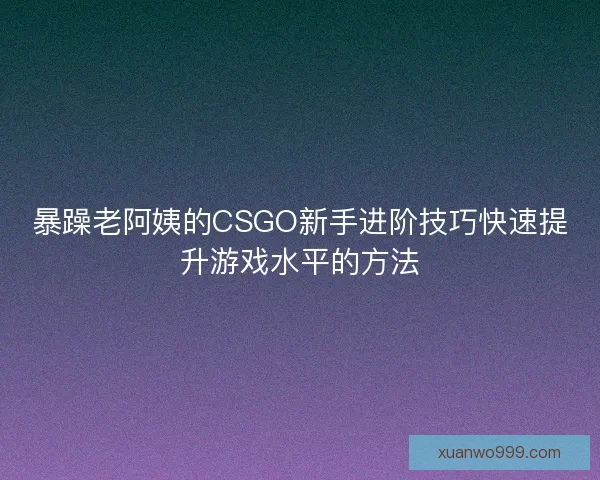 暴躁老阿姨的CSGO新手进阶技巧快速提升游戏水平的方法